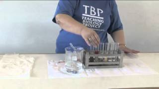 Video 7 - TESTING THE PH OF SOILS.mp4