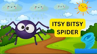 Itsy Bitsy Spider | Nursery Rhymes & Animal Songs