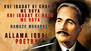 Allama Iqbal Poetry | Koi Ibadat ki Chahat me Roya |  | Najam Pratapgarhi | mzuloom | whatsap status