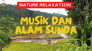 Relaksasi di Tengah Persawahan dan Sungai | 4K