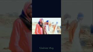 Kalyan Sharif mele ll mere gaon se hot hot Camel 🐪 ke liye ravana #villagelifestyle #youtube