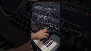 ARP 2600 FS × drumlogue  session #ARP #ARP2600 #KORG #drumlogue