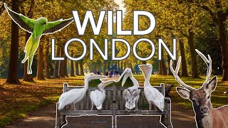 WILD LONDON