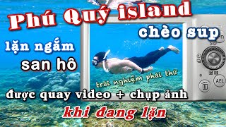 Đến Đảo Phú Quý bạn đã trải nghiệm chèo sup lặn ngắm san hô chưa ? | Tourism Việt Nam | Travel Vlog