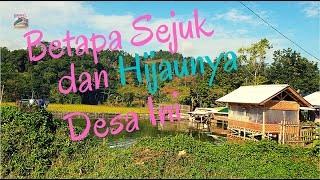 Alam Pedesaan yang Sejuk | 4K