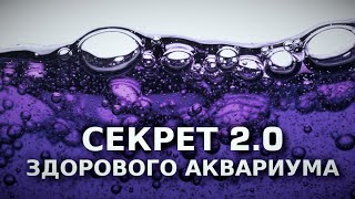 Секрет здорового аквариума v. 2.0