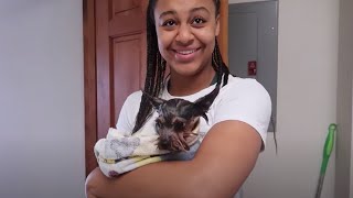 Giving Henry A Bath | Nia Sioux