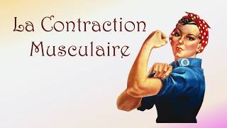 Neurofacile 10 : La contraction musculaire