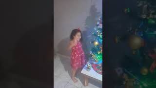 Minha árvore de Natal e uma descoberta muito legal!