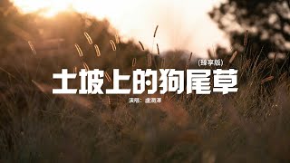 盧潤澤 - 土坡上的狗尾草 (臻享版)『土坡上狗尾巴草搖啊 搖得人眼淚掉，你那頭月亮照不照得到，唱首狗兒的歌謠，我的小黃你卻已聽不到。』【動態歌詞MV】