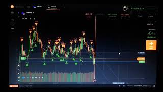 📈 Análises e Operações - Trader Opções Binárias - Dia 14 (Fibonacci - Suporte - LTB