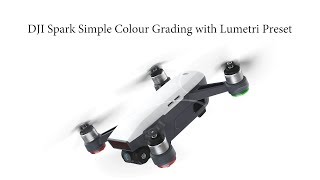 ( Quick Tutorial ) Dji Spark Simple Colour Grading with Lumetri Preset