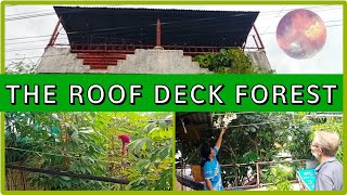 THE ROOF DECK FOREST 😱 | PLANT LOVER KA BA?