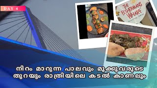 നിറം മാറുന്ന പാലവും രാത്രിയിലെ കടൽ കാണലും | Goa Atal setu | Goa tour day 4| Home Unfiltered