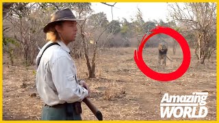 Unforgettable Chills: 6 Hair-Raising Lion Encounters / Lion Attack