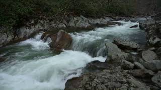 One Minute - Smoky Mountain Stream - Nikon Z8 - Unedited