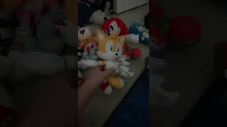 We may not listen to you sometimes…. #shorts #sonicplush #sonic #viral #trending #subscribe