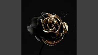 Dark Rose