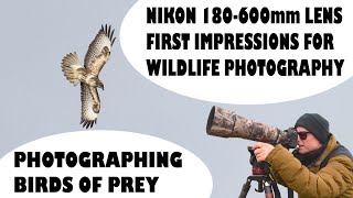 FIRST IMPRESSIONS NIKON 180-600 LENS FOR WILDLIFE PHOTOGRAPHY