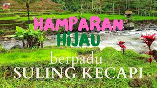 Panorama Pemandangan Alam Hijau di Pedesaan Part 2 | 4K