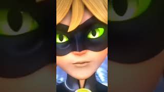 #mlbb #miraculous #ladybug #catnoir #short