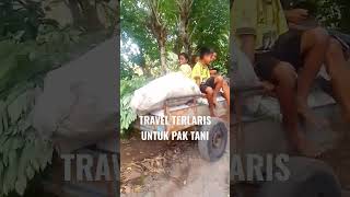 Kendaraan Paling Simpel dan Hemat Buat Petani