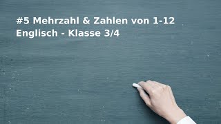 Mehrzahl und Zahlen 1-12 Englisch Klasse 3-4 Homeschooling Onlineuntericht