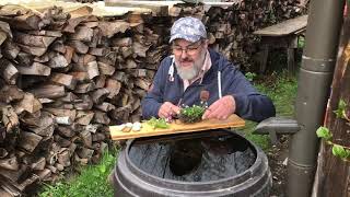 Regenwasser nutzen im Garten