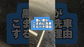 1ヶ月、洗車をしなかった黒い車はこうなる…#カーコーティング #ガラスコーティング #撥水コーティング #コーティング #洗車 #手洗い洗車 #洗車コーティングの質問は公式lineアカウントへ