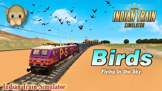 Indian Train Simulator New Update | Birds in Game | Birds Flying in the Sky | New Scenery