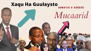 Mr Geeddi Oo Runta U Sheegay Mucaaridka