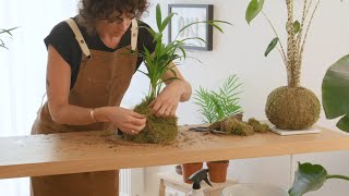 IKEA  Kokedama is a traditional Japanese art form