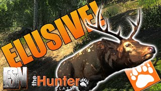 Chasing Giants of the Forest! theHunter: Classic Competition