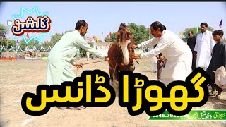 Horse Dance Ghora Gulshan malkiat o sawar Malak Nawab Asad ullah khan waseer from jaran wala۔mela