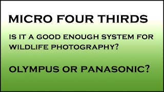 Micro four thirds- Is it good enough for wildlife photography