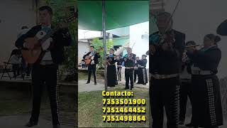 La Calandria y No Llega el Olvido Mariachi Sangre de mi Tierra