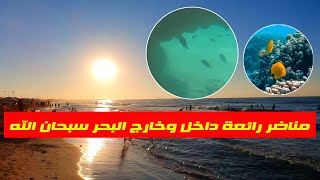 السعيدية جوهرة المغرب الزرقاء وما جاورها جمال رهيبييب. تصوير داخا وخار البحر فرجة ممتعة وجمعة مباركة