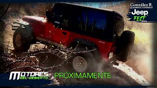 MOTORES JF24 PROMO PROGRAMA