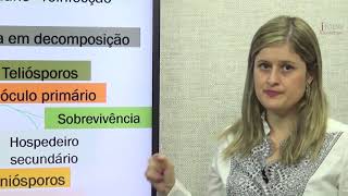 COMBO Agro   Fitopatologia   Melina Raimundi   Aula 12