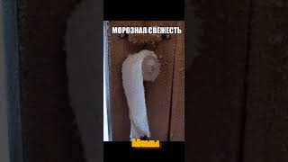 Забавные приколы / Подборка мемов 6 #мемы