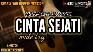 cinta sejati - bunga citra lestari |BCL (akustik karaoke) Charly Van Houten version