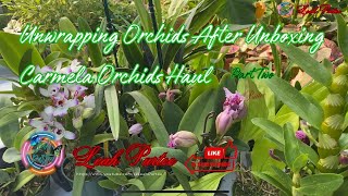 Orchids Care After Unboxing || Last Part