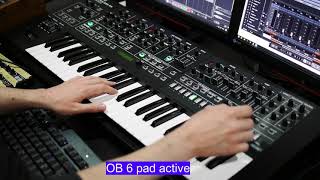 Roland System 8 (FM Oscillator - No FX + Prophet 6 and OB6 pads)