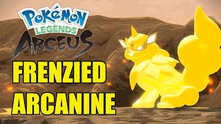 The Frenzied Hisuian Arcanine! Pokemon Legends Arceus