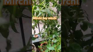 #shorts#mirchi#youtube