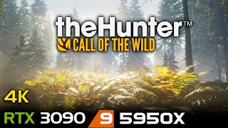 The Hunter: Call of the Wild | 4K | RTX 3090 | 5950X