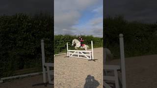 Esme and Mouse jumping the gate this morning before school 🤩 #equestrian #showjumping #pony