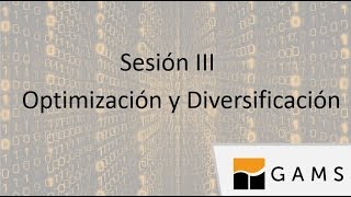 Optimización y Diversificación.