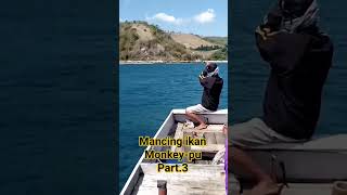 MANCING IKAN MONKEY-PU,Part.3 #mancing #fishing #mancingmania #shorts #adonara