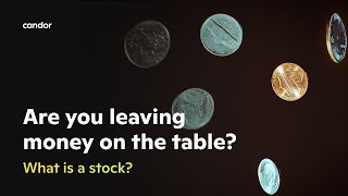 What Is a Stock?